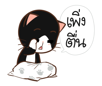 ลายที่ 31