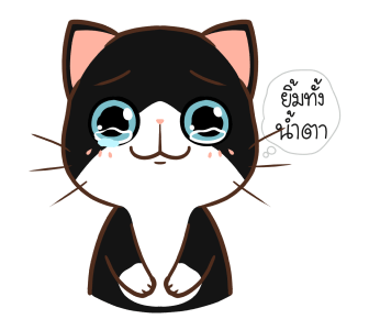 ลายที่ 39