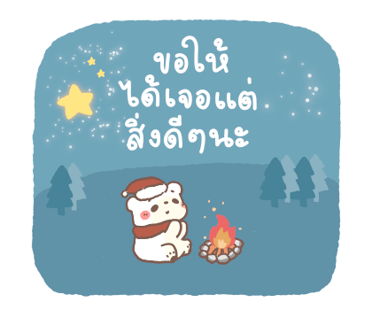 ลายที่ 13