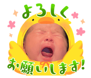 805050277