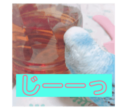 80506197