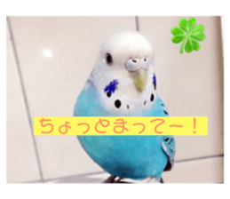 80506201