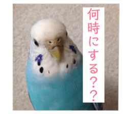 80506206