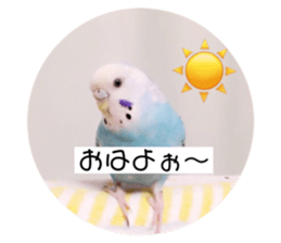 80506209