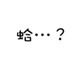 805106259