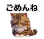805122565