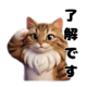 805122569