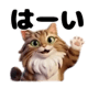 805122570