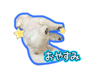 805124898