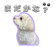 805124902