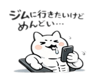 805155243