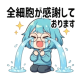 805156702