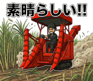 805158587