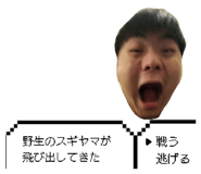 805171882