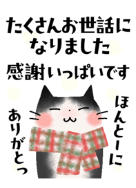 805181587