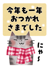 805181593