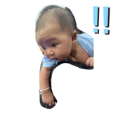 805217991