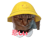 805220870