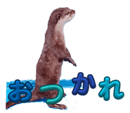 805220876
