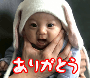 805227647
