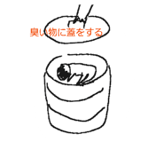 805257616