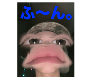 805272185