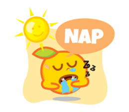 8052728