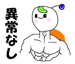 8052744