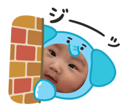 805299637