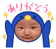 805299645