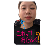 805306731