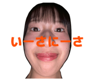 805306743