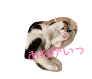 805326159