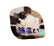 805326169