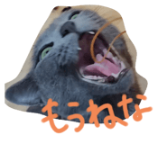805345943