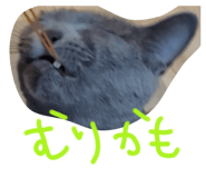 805345945