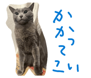 805345965