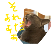 805345966
