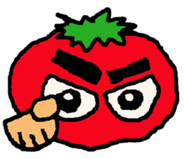 8053693