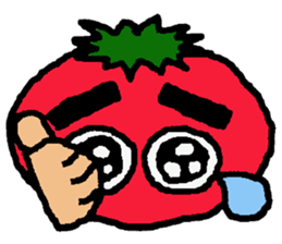 8053695