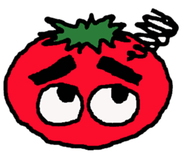 8053696