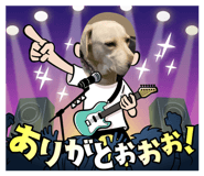 805372290