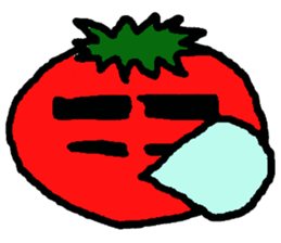 8053725