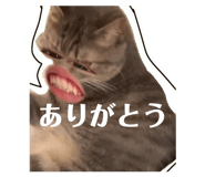 805375481