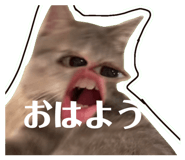 805375483