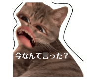 805375484