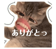 805375488