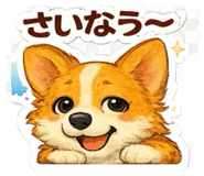 805389517