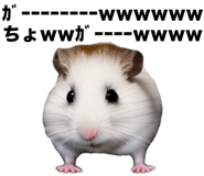 805401914