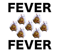 805401915